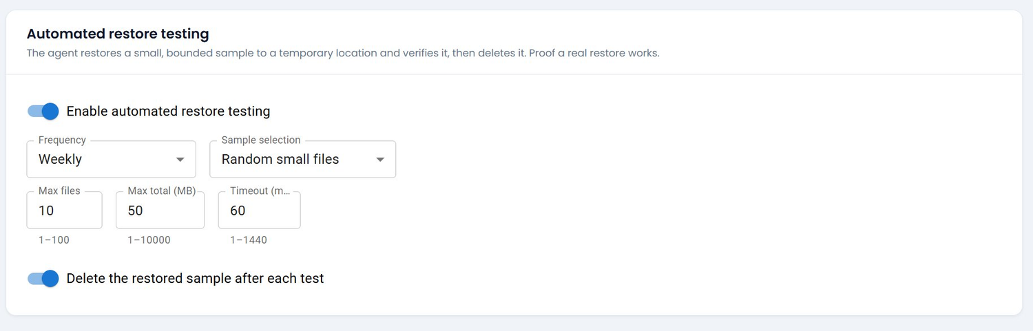 Automated restore testing settings